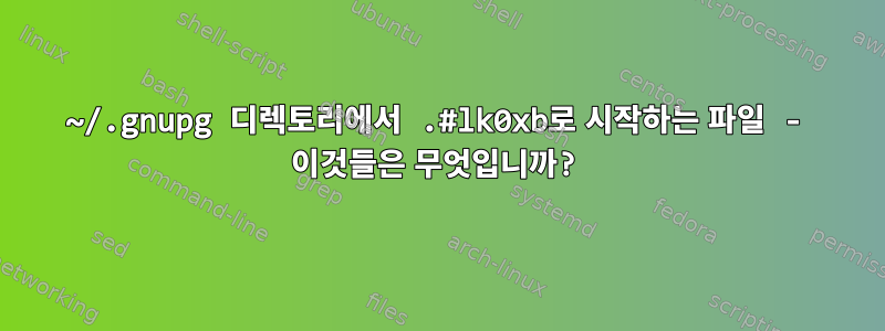 ~/.gnupg 디렉토리에서 .#lk0xb로 시작하는 파일 - 이것들은 무엇입니까?