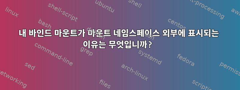 내 바인드 마운트가 마운트 네임스페이스 외부에 표시되는 이유는 무엇입니까?