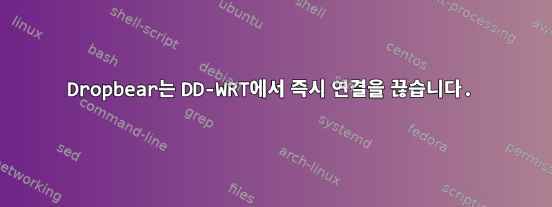 Dropbear는 DD-WRT에서 즉시 연결을 끊습니다.