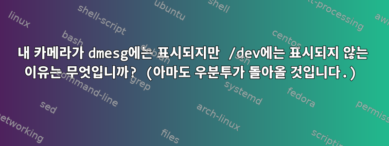 내 카메라가 dmesg에는 표시되지만 /dev에는 표시되지 않는 이유는 무엇입니까? (아마도 우분투가 돌아올 것입니다.)