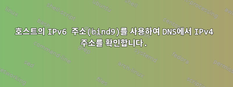 호스트의 IPv6 주소(bind9)를 사용하여 DNS에서 IPv4 주소를 확인합니다.