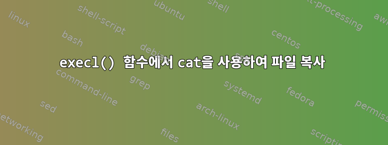 execl() 함수에서 cat을 사용하여 파일 복사