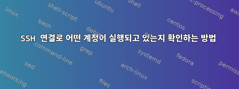 SSH 연결로 어떤 계정이 실행되고 있는지 확인하는 방법