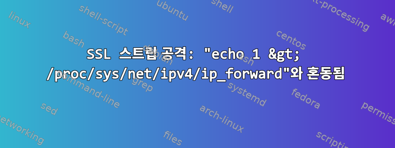 SSL 스트립 공격: "echo 1 &gt; /proc/sys/net/ipv4/ip_forward"와 혼동됨