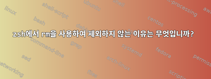 zsh에서 rm을 사용하여 제외하지 않는 이유는 무엇입니까?