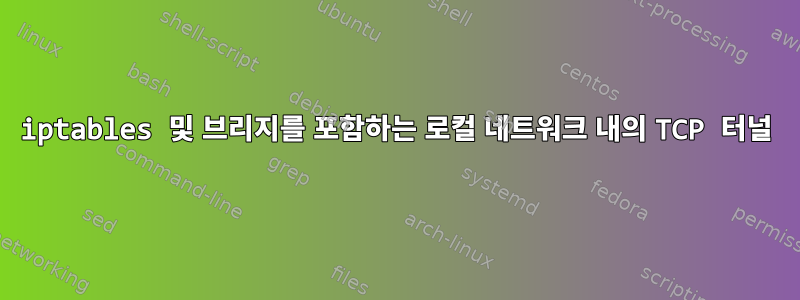 iptables 및 브리지를 포함하는 로컬 네트워크 내의 TCP 터널