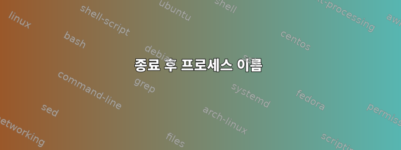 종료 후 프로세스 이름