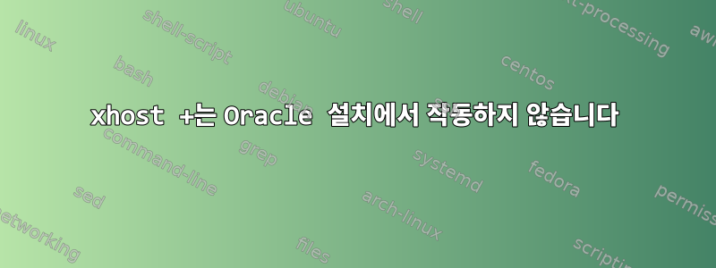 xhost +는 Oracle 설치에서 작동하지 않습니다