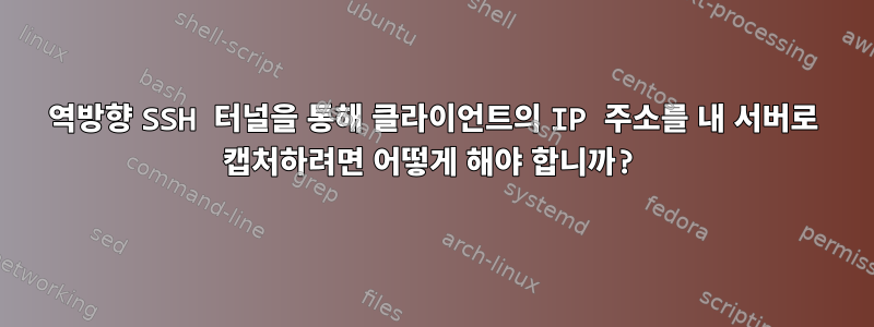 역방향 SSH 터널을 통해 클라이언트의 IP 주소를 내 서버로 캡처하려면 어떻게 해야 합니까?