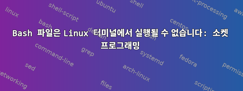 Bash 파일은 Linux 터미널에서 실행될 수 없습니다: 소켓 프로그래밍