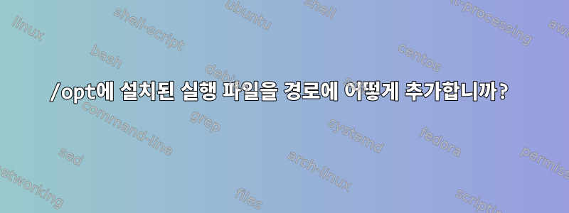 /opt에 설치된 실행 파일을 경로에 어떻게 추가합니까?