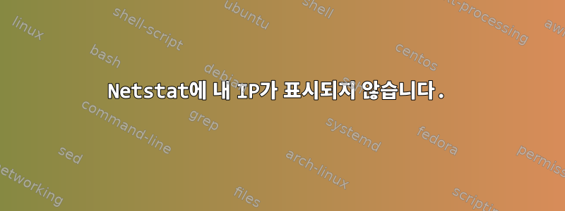 Netstat에 내 IP가 표시되지 않습니다.