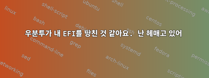 우분투가 내 EFI를 망친 것 같아요. 난 헤매고 있어