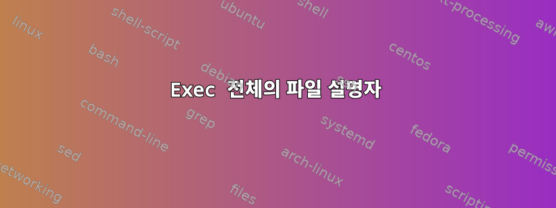 Exec 전체의 파일 설명자