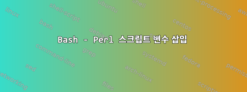 Bash - Perl 스크립트 변수 삽입