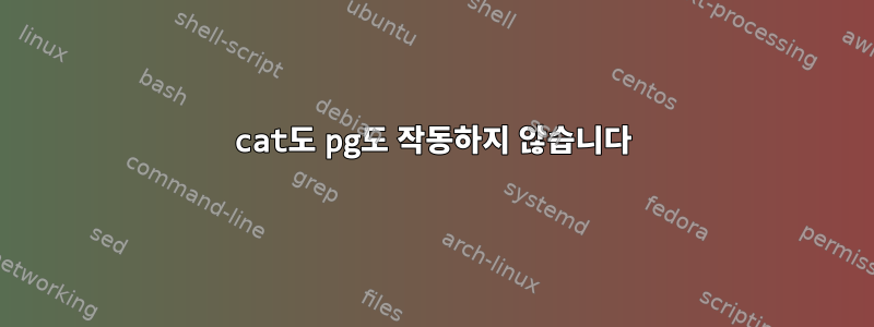 cat도 pg도 작동하지 않습니다