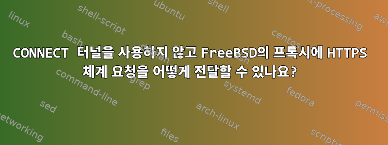 CONNECT 터널을 사용하지 않고 FreeBSD의 프록시에 HTTPS 체계 요청을 어떻게 전달할 수 있나요?