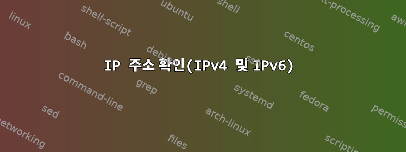 IP 주소 확인(IPv4 및 IPv6)