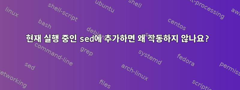 현재 실행 중인 sed에 추가하면 왜 작동하지 않나요?