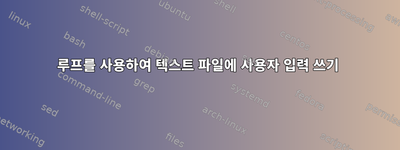 루프를 사용하여 텍스트 파일에 사용자 입력 쓰기