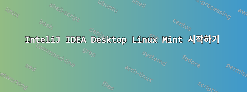 InteliJ IDEA Desktop Linux Mint 시작하기