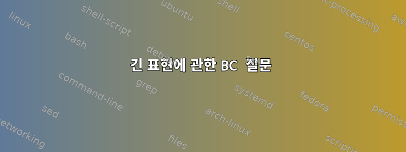 긴 표현에 관한 BC 질문