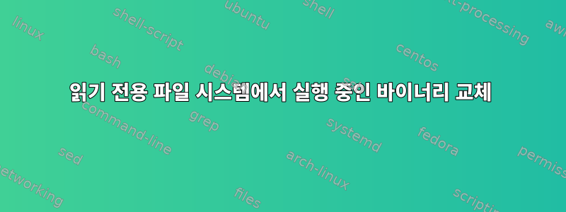 읽기 전용 파일 시스템에서 실행 중인 바이너리 교체