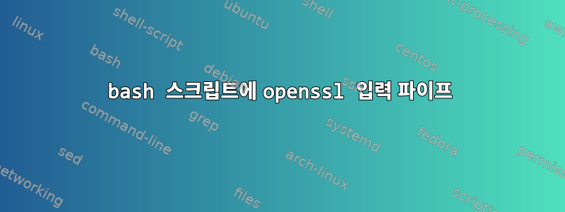 bash 스크립트에 openssl 입력 파이프