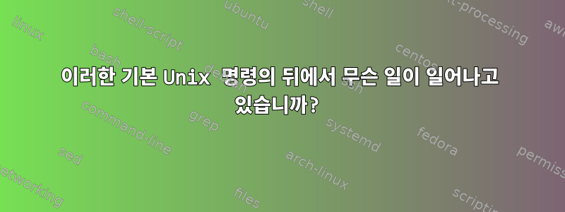 이러한 기본 Unix 명령의 뒤에서 무슨 일이 일어나고 있습니까?