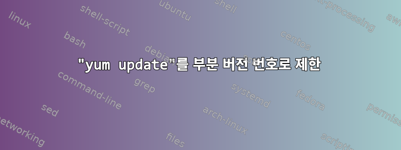 "yum update"를 부분 버전 번호로 제한