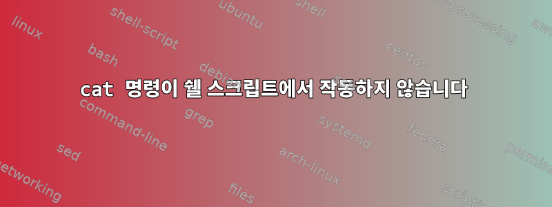 cat 명령이 쉘 스크립트에서 작동하지 않습니다