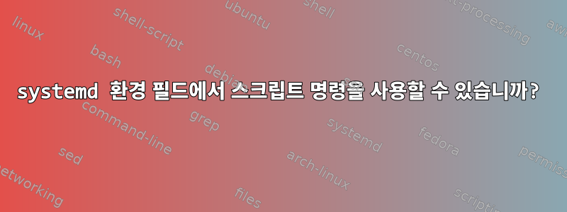 systemd 환경 필드에서 스크립트 명령을 사용할 수 있습니까?