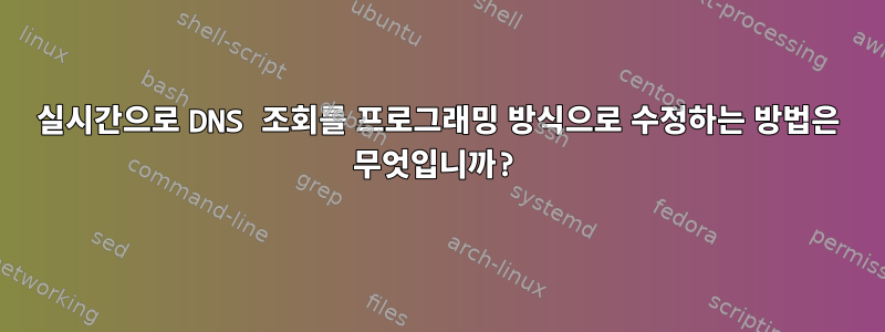 실시간으로 DNS 조회를 프로그래밍 방식으로 수정하는 방법은 무엇입니까?