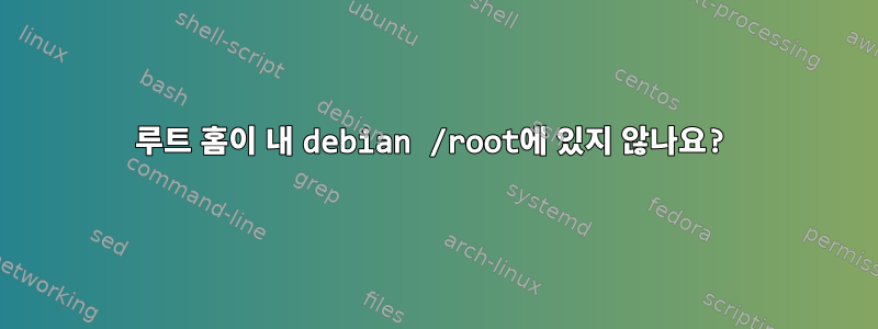 루트 홈이 내 debian /root에 있지 않나요?