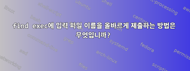 find exec에 입력 파일 이름을 올바르게 제출하는 방법은 무엇입니까?