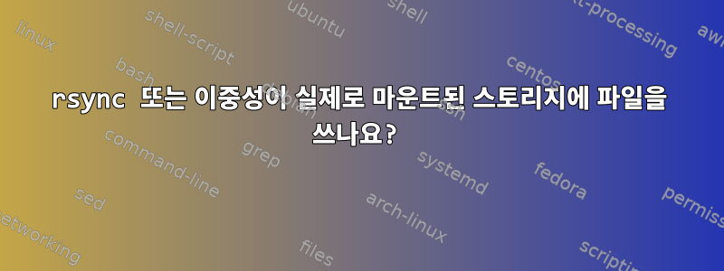 rsync 또는 이중성이 실제로 마운트된 스토리지에 파일을 쓰나요?