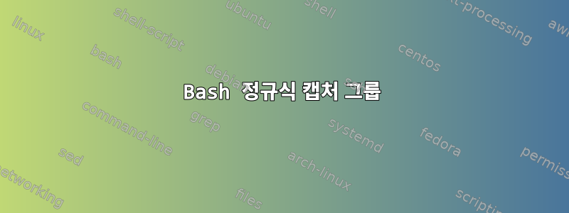 Bash 정규식 캡처 그룹