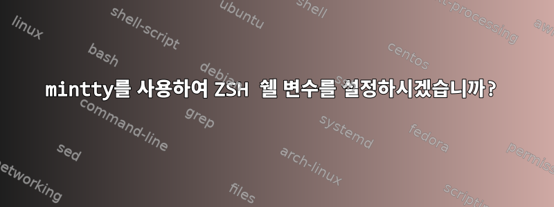 mintty를 사용하여 ZSH 쉘 변수를 설정하시겠습니까?