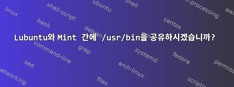 Lubuntu와 Mint 간에 /usr/bin을 공유하시겠습니까?