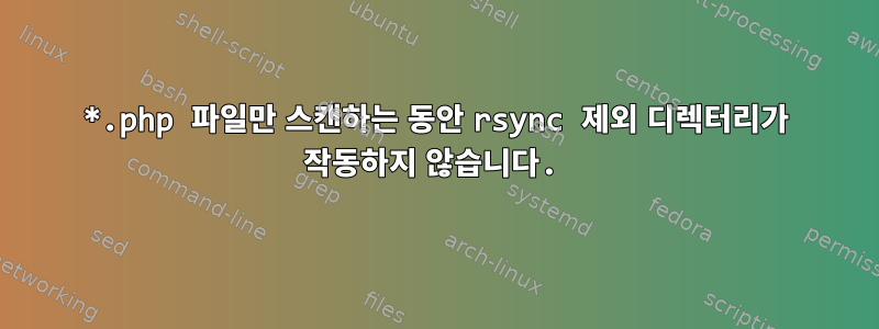 *.php 파일만 스캔하는 동안 rsync 제외 디렉터리가 작동하지 않습니다.