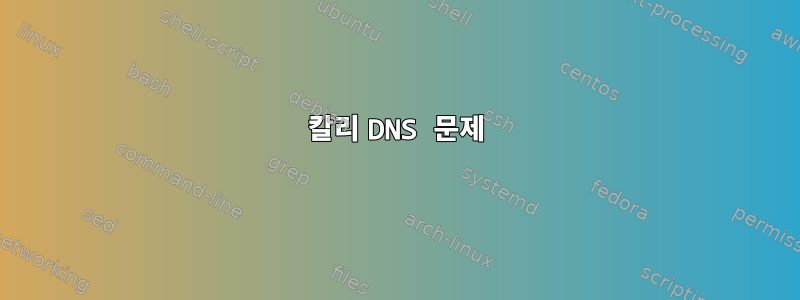 칼리 DNS 문제