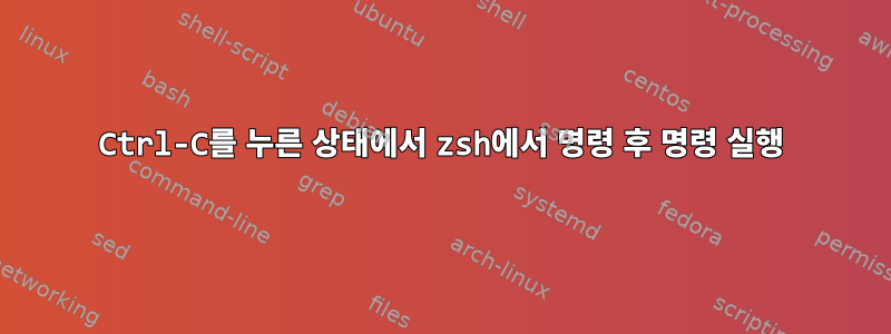 Ctrl-C를 누른 상태에서 zsh에서 명령 후 명령 실행