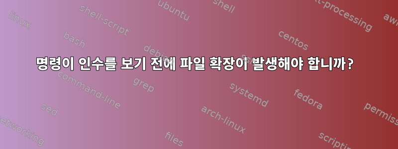 명령이 인수를 보기 전에 파일 확장이 발생해야 합니까?