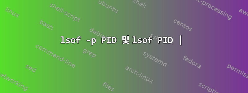 lsof -p PID 및 lsof PID |