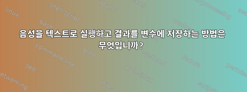 음성을 텍스트로 실행하고 결과를 변수에 저장하는 방법은 무엇입니까?