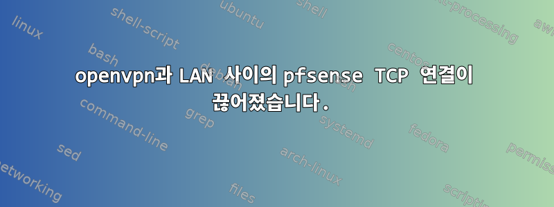 openvpn과 LAN 사이의 pfsense TCP 연결이 끊어졌습니다.