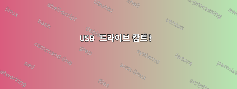 USB 드라이브 캅트!