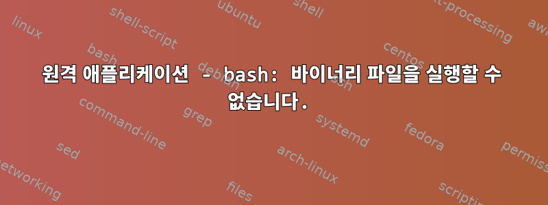 원격 애플리케이션 - bash: 바이너리 파일을 실행할 수 없습니다.