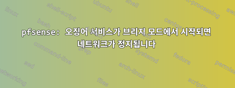 pfsense: 오징어 서비스가 브리지 모드에서 시작되면 네트워크가 정지됩니다