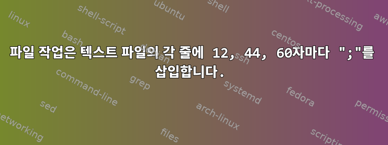 파일 작업은 텍스트 파일의 각 줄에 12, 44, 60자마다 ";"를 삽입합니다.